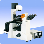 倒置荧光生物显微镜XSP-37XBY