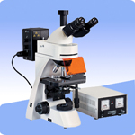 三目荧光显微镜XSP-BM22AY